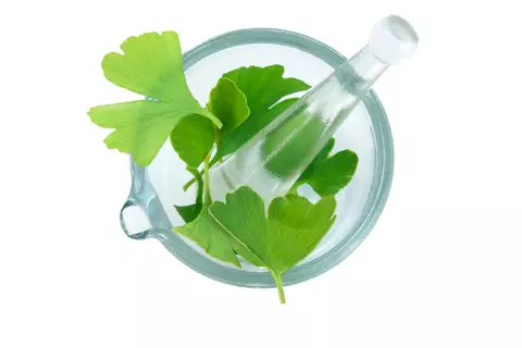 img_ginkgo-biloba